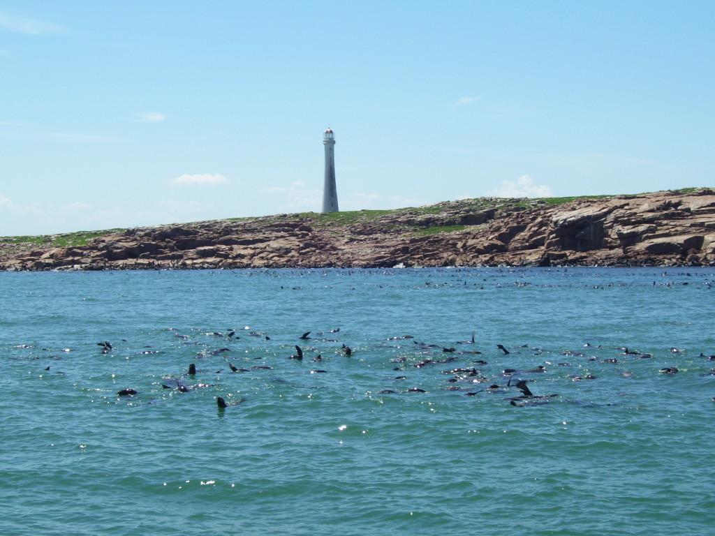IslaDeLobos1