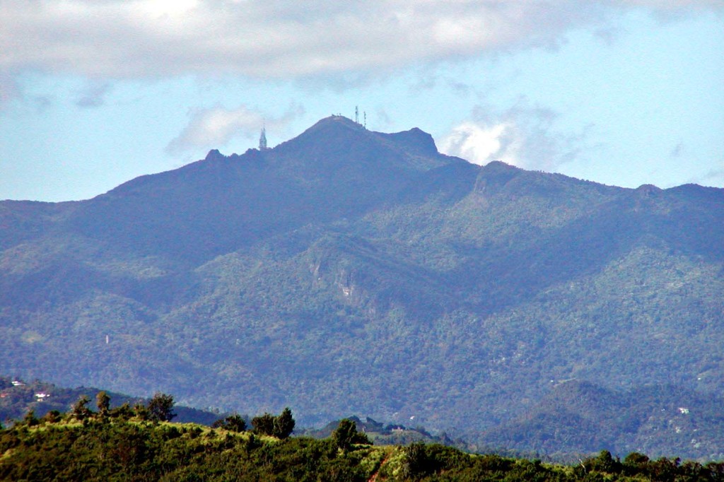 Puerto_Rico_El_Yunque_5
