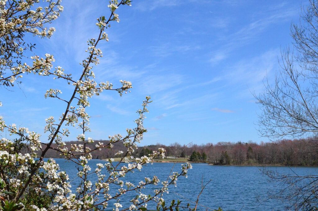 lake, pretty day, view, nature, pennsylvania, scenic-5079806.jpg
