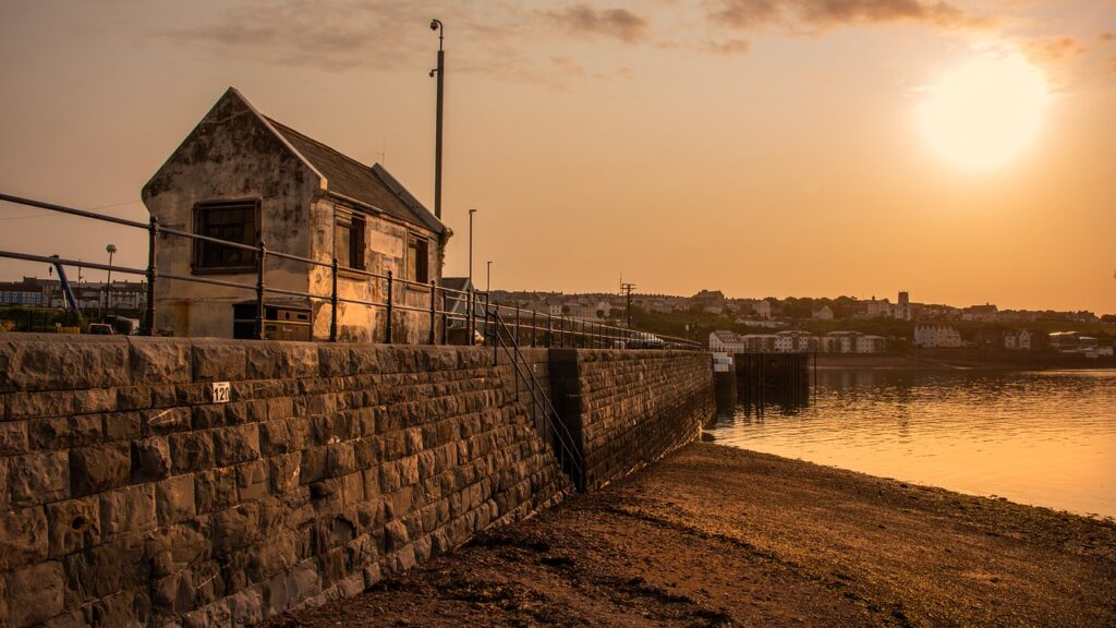 milford haven, nature, south wales, coast, sunrise, port, water, landscape-9748195.jpg