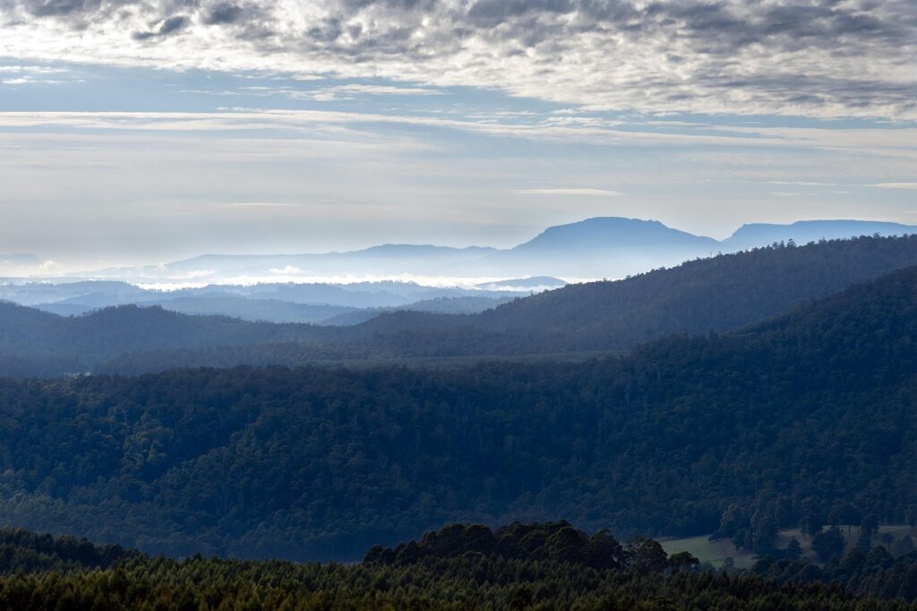 mountain, sunrise, fog, trees, landscape, nature, sun, tasmania, australia, tasmania, tasmania, tasmania, tasmania, tasmania-7860186.jpg