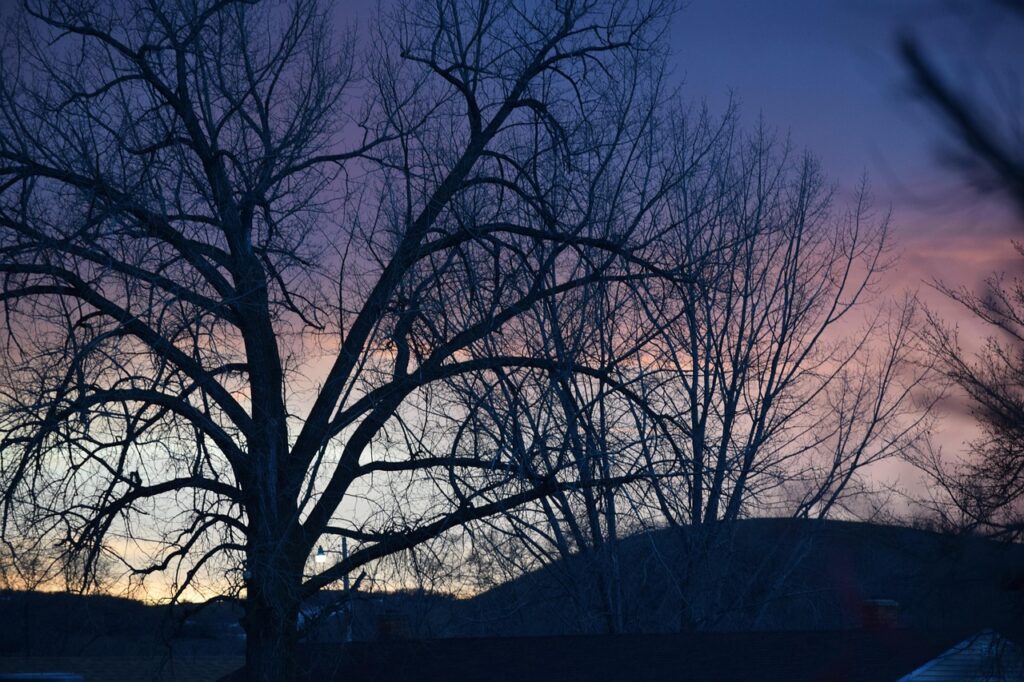 sunset, badlands, nature, sky, north dakota, scenic-2663767.jpg