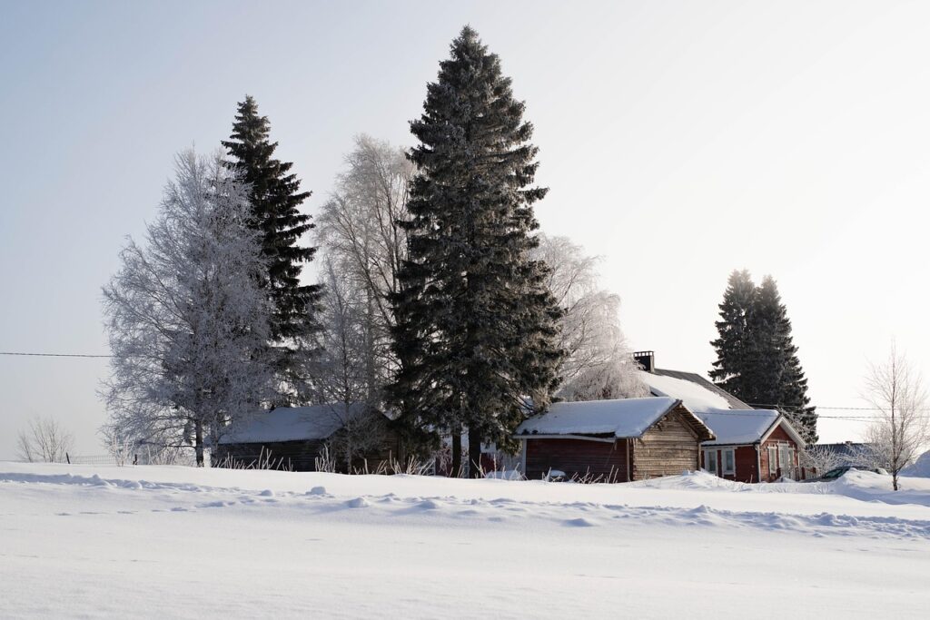 trees, nature, landscape, snow, winter, cold, icy, horizon, field, finland, vuokatti, sotkamo, farm, landscape, landscape, landscape, landscape, landscape, winter, winter, finland, finland, finland-7847683.jpg