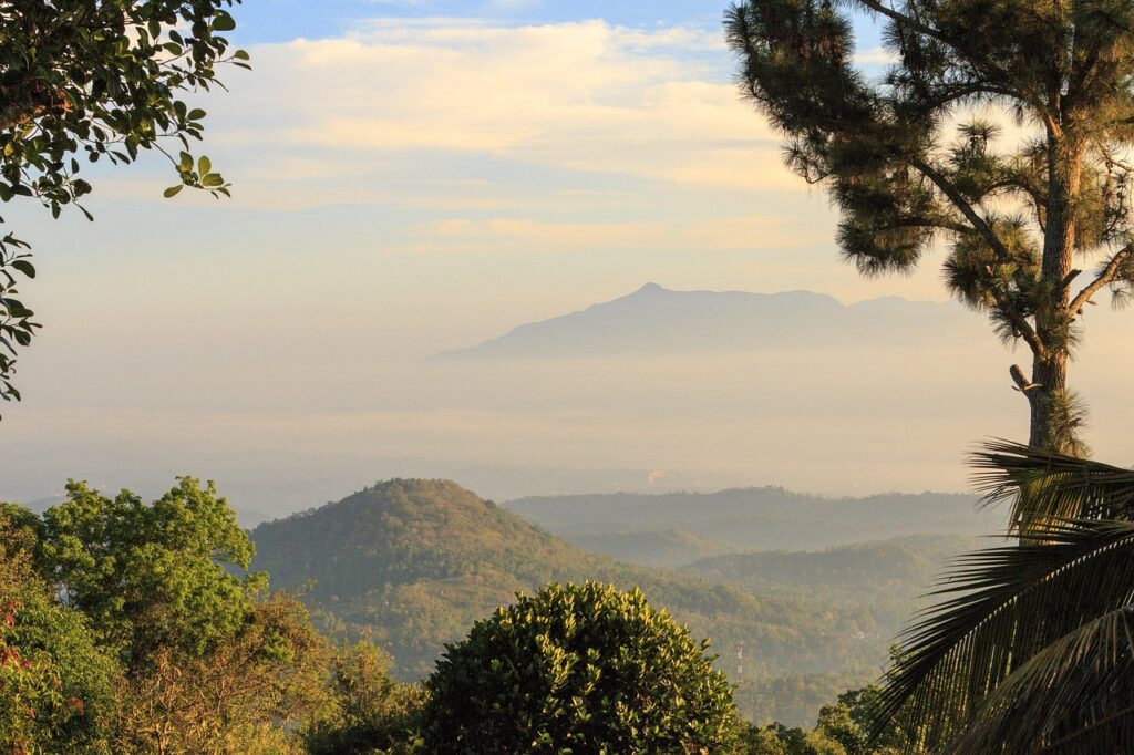 view, mountain, nature, sri lanka-5163067.jpg